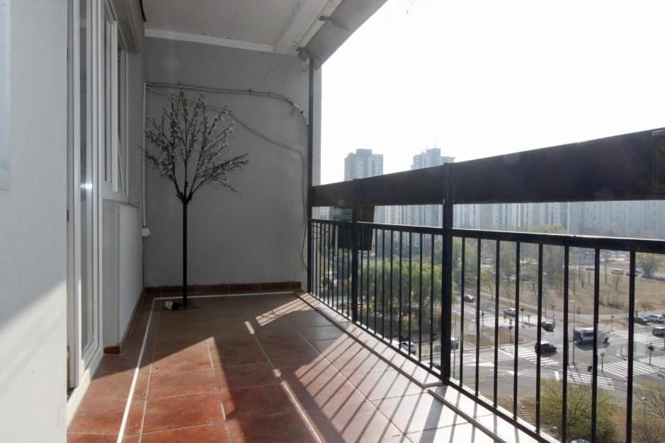 Apartment Cezar *